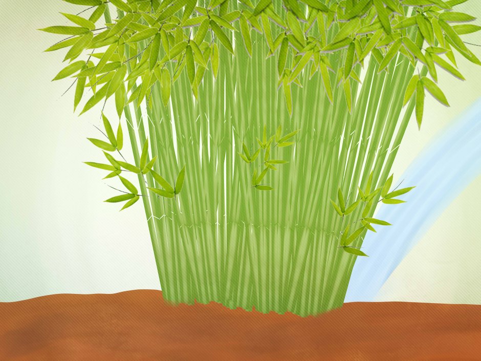 Картина бамбук растущий в воде
