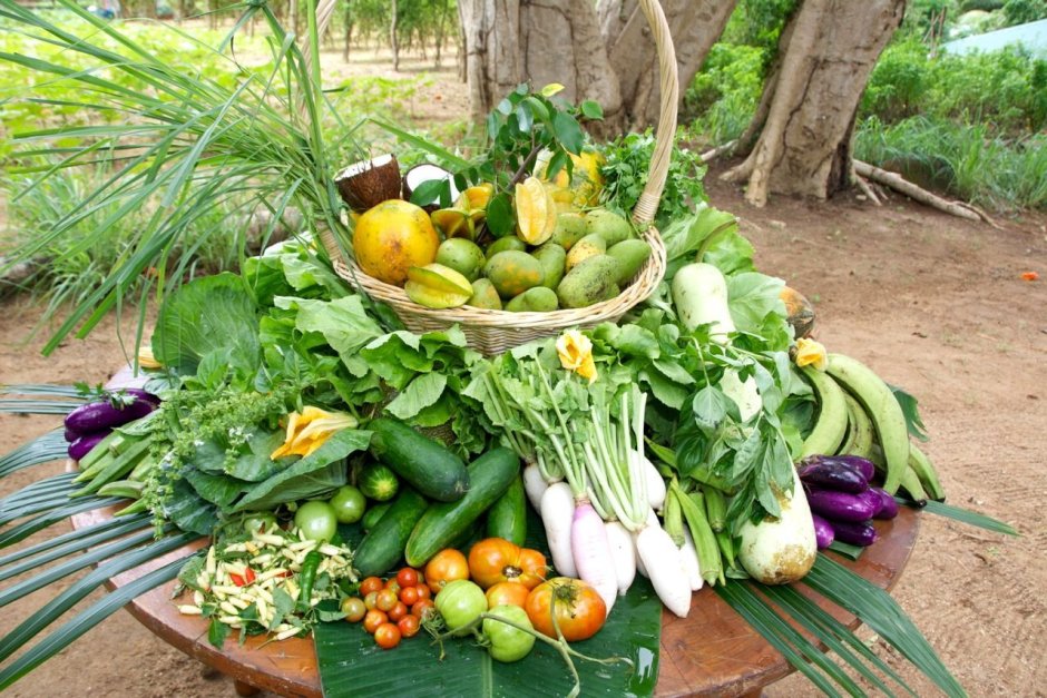 Овощи и зелень в огороде