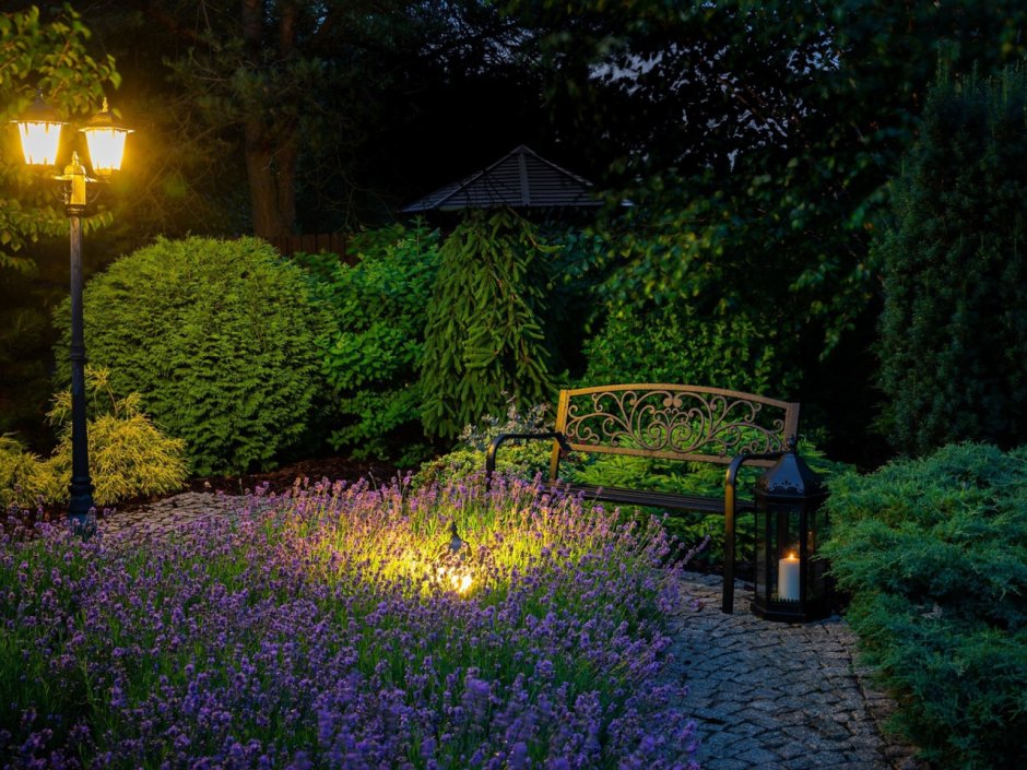 Красивый сад ночью