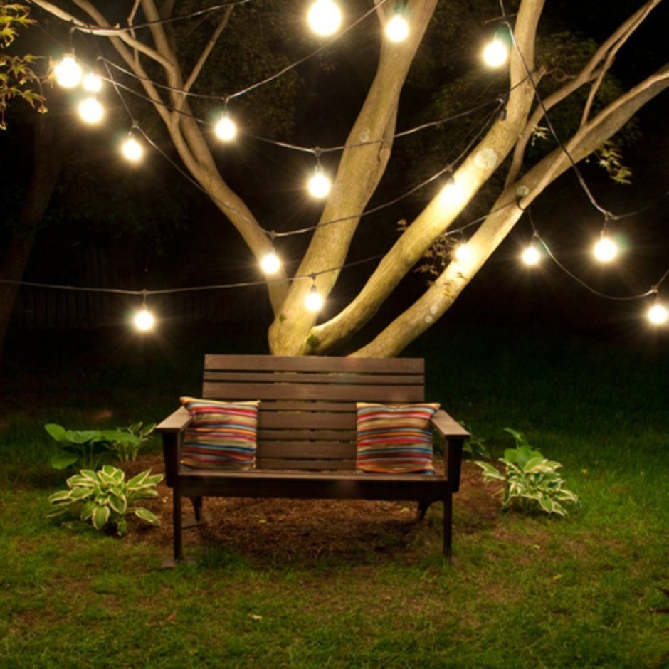 Декоративная подсветка деревьев в саду