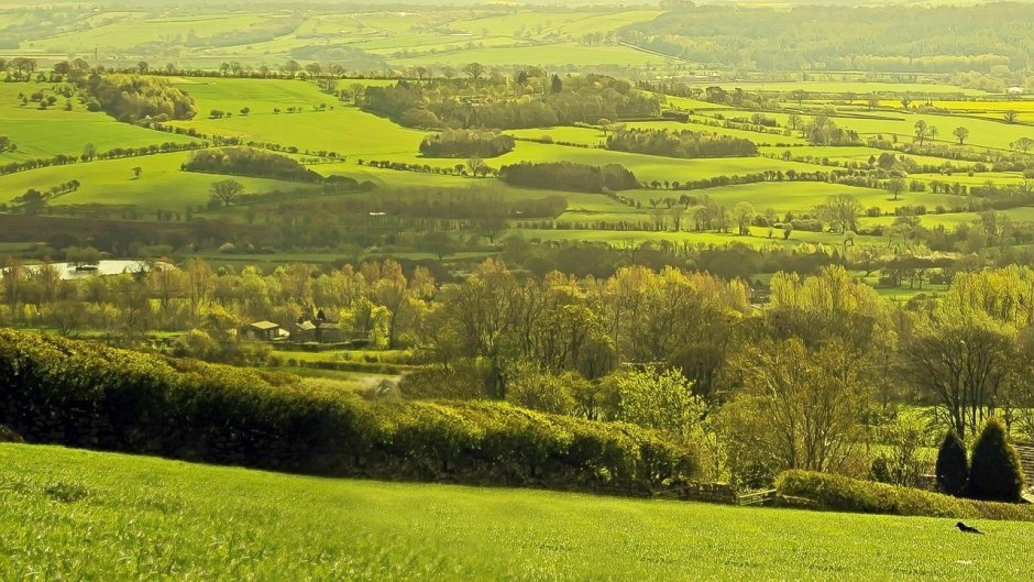 Зеленые холмы Англии