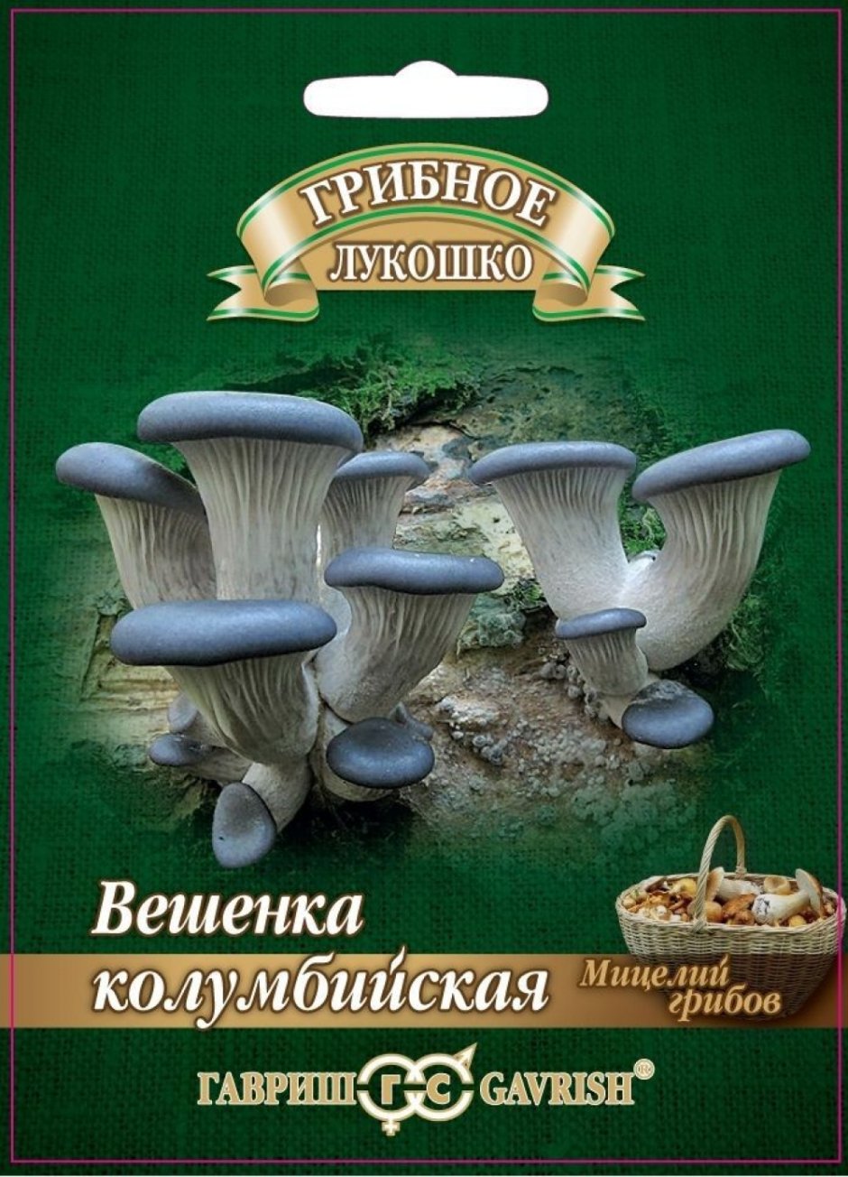 Мицелий грибов Гавриш Грибное лукошко шиитаке на древесной палочке 12 шт.