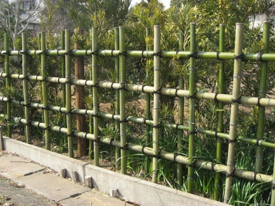 Забор из бамбука своими руками