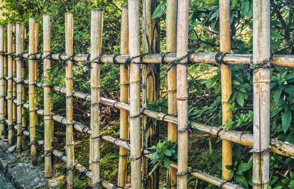 Бамбуковая изгородь в японском саду