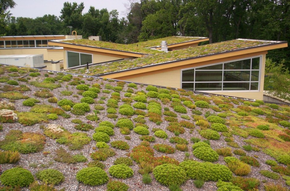 Крыша зелёная спреди