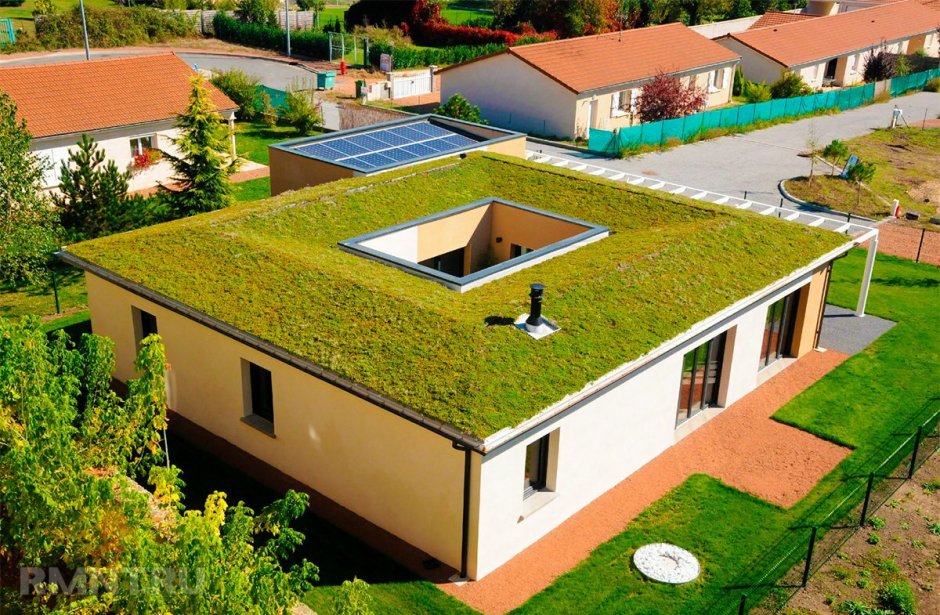 Крыша с травяным покрытием
