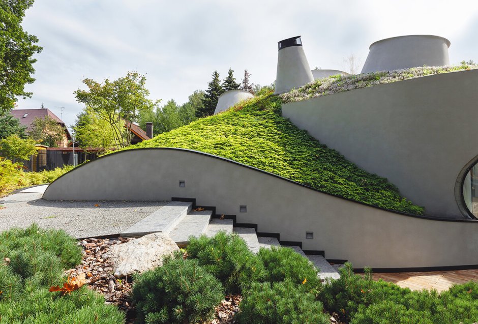 Озеленение крыши на даче