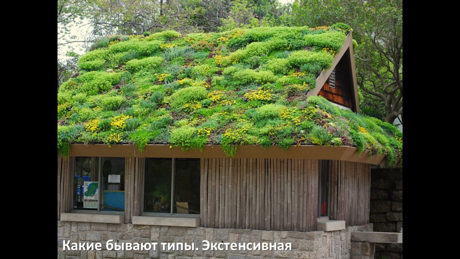 ЭКОДОМ Норвегия трава на крыше