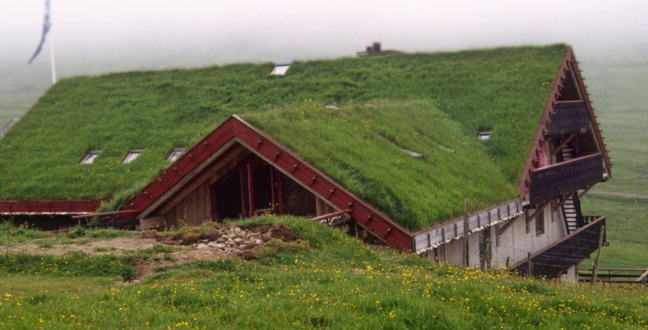 Экстенсивные зеленые крыши