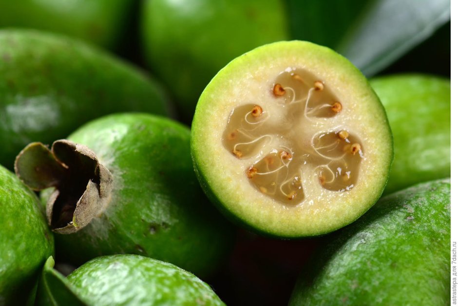 Тропические фрукты фейхоа