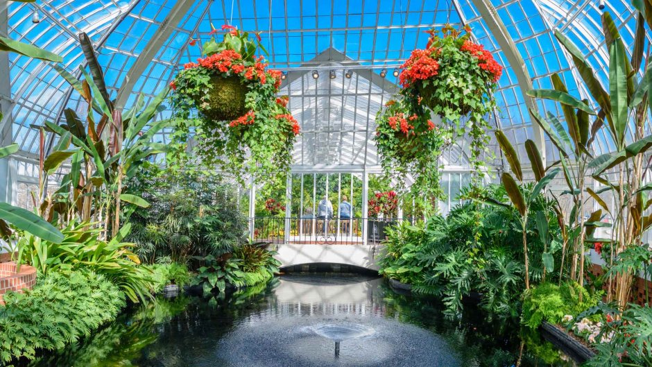 Королевские Ботанические сады Кью оранжерея принцессы Уэльской
