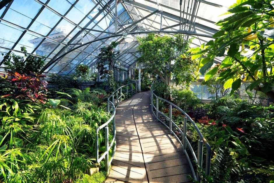 Королевский Ботанический сад Эдинбурга пальмовая оранжерея