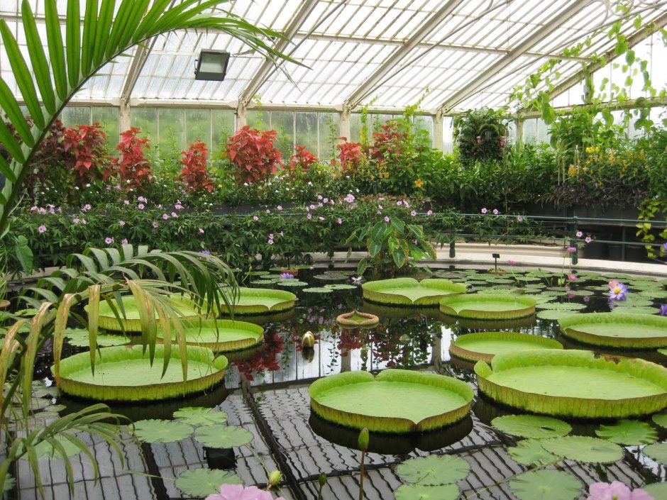 Ботанический сад Кью оранжерея принцессы Уэльской