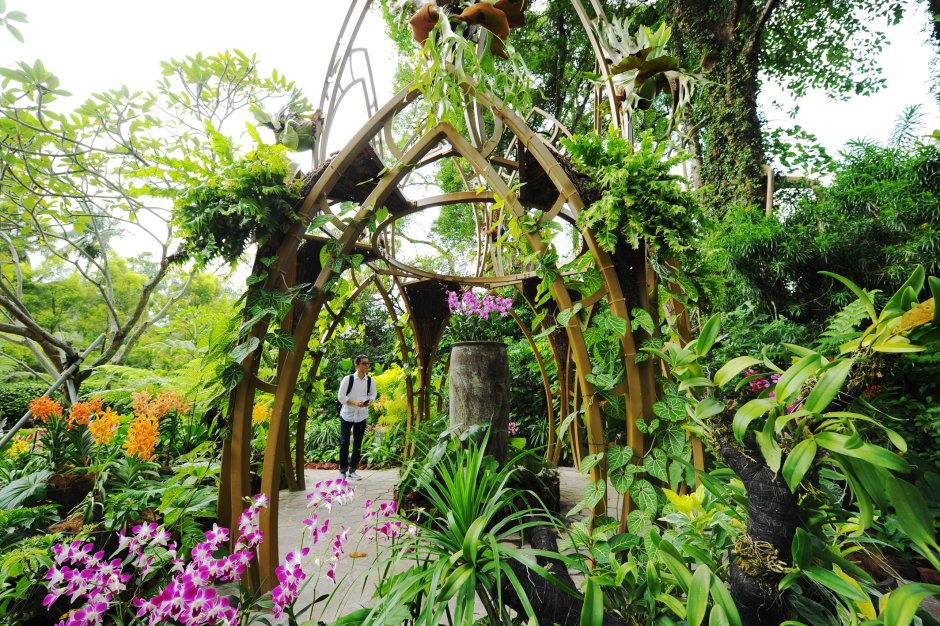 Гарден Бэй Ботанический сад Сингапура
