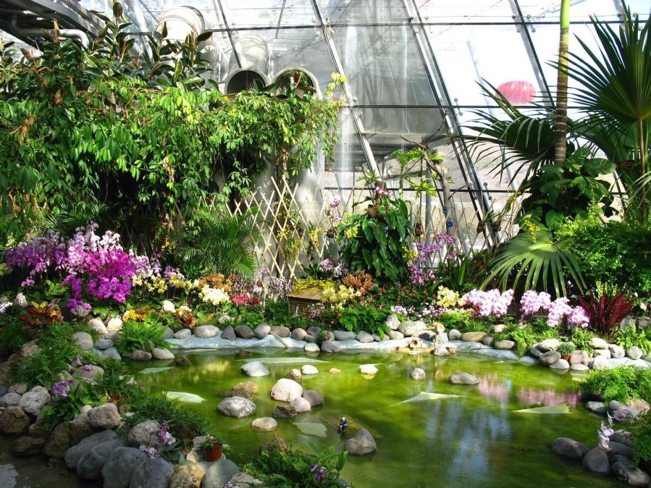 Ботанический сад МГУ Тропическая оранжерея