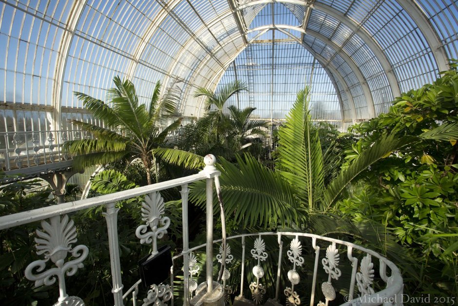 Павильон Палм-Хаус в Ботаническом саду Кью Гарденз