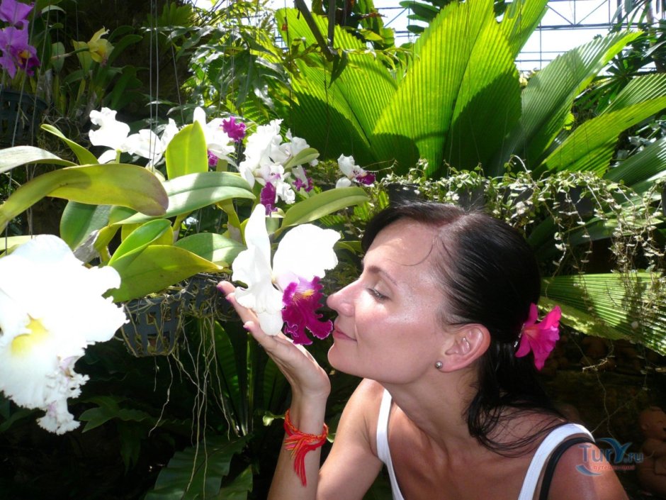Кью Гарден сад орхидей