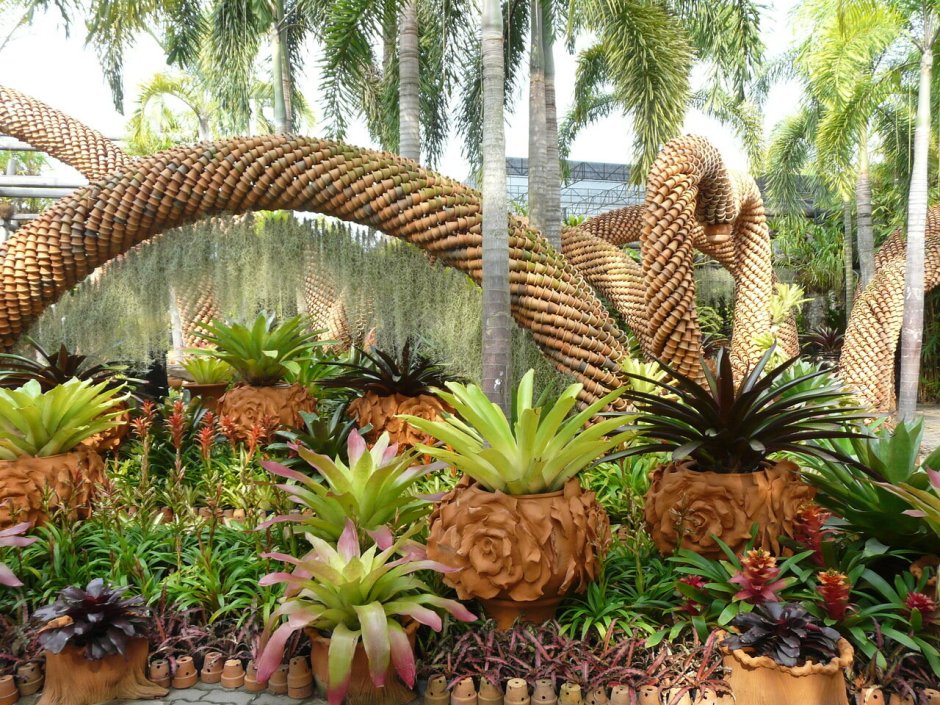Сингапурский Ботанический сад национальный сад орхидей