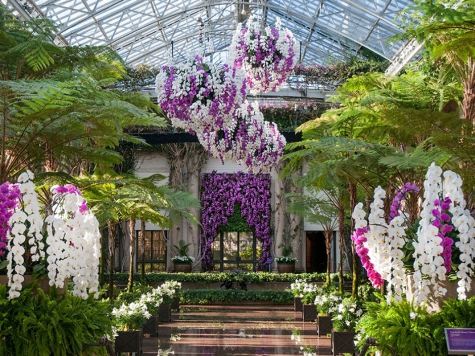 Нидерланды Королевская оранжерея орхидей