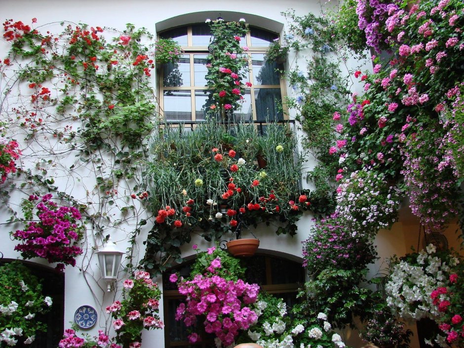 Испания.цветочные Дворики Patio Cordobes