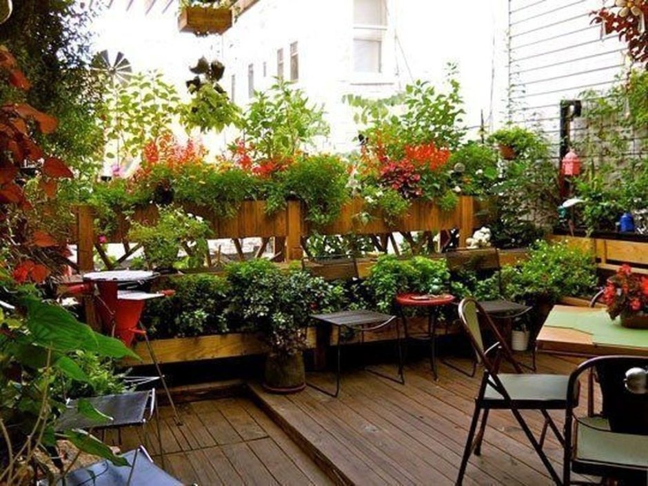 Озеленение террас и балконов