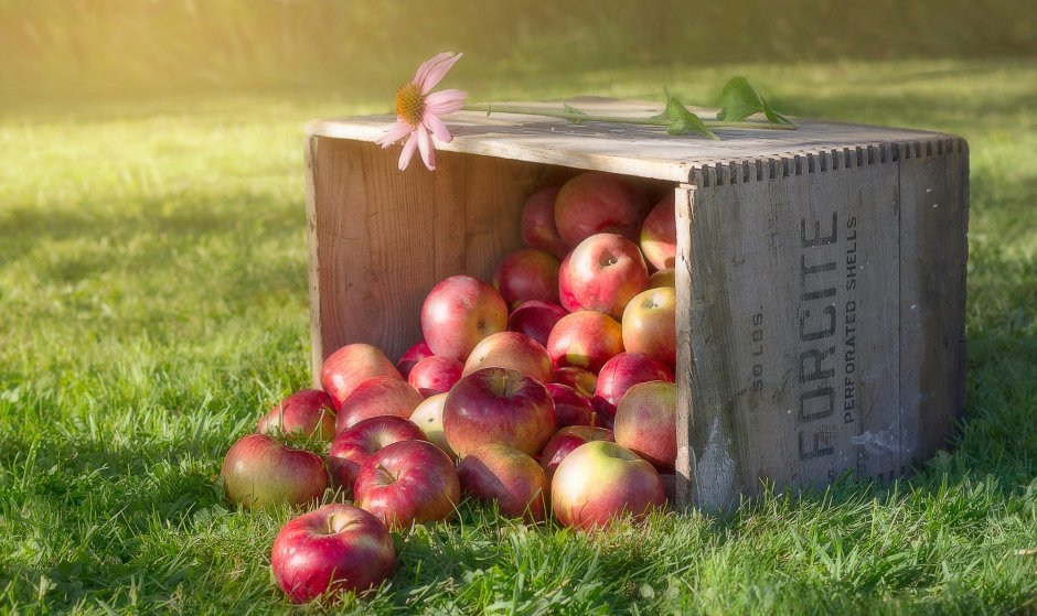 Ящик с яблоками