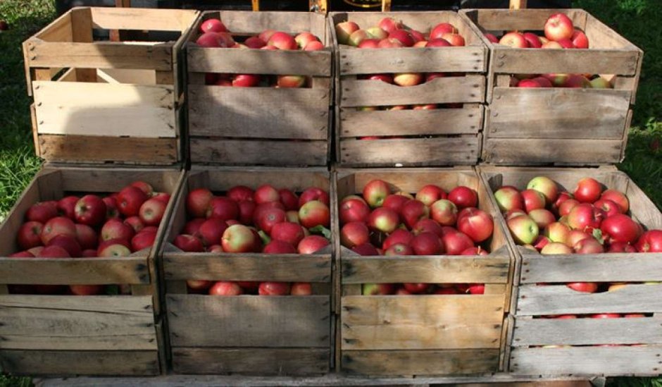 Коробка с яблоками