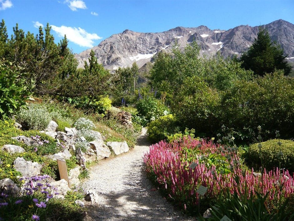 Альпийский Ботанический сад в коль дю Лотаре, Франция