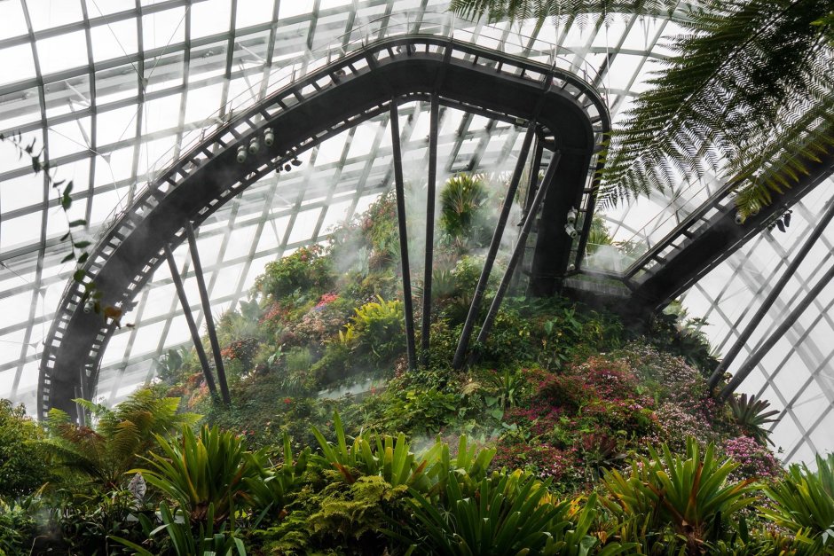 Сингапур Ботанический сад
