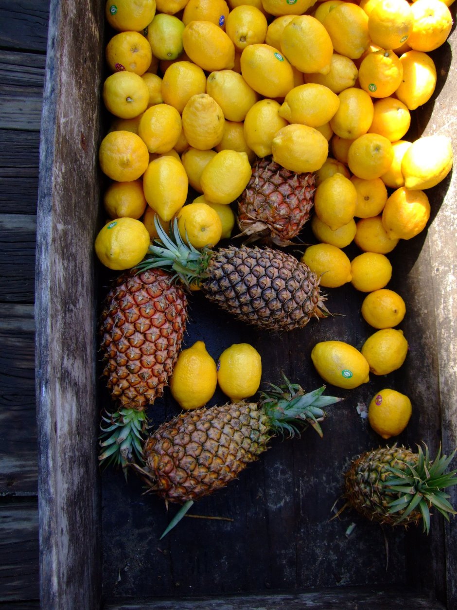 Фотообои лимонный сад