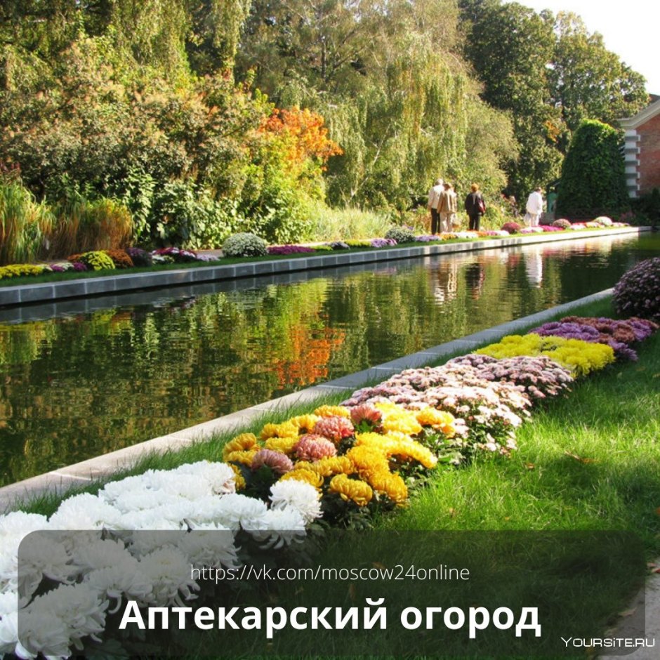 Москва Ботанический сад МГУ Аптекарский огород