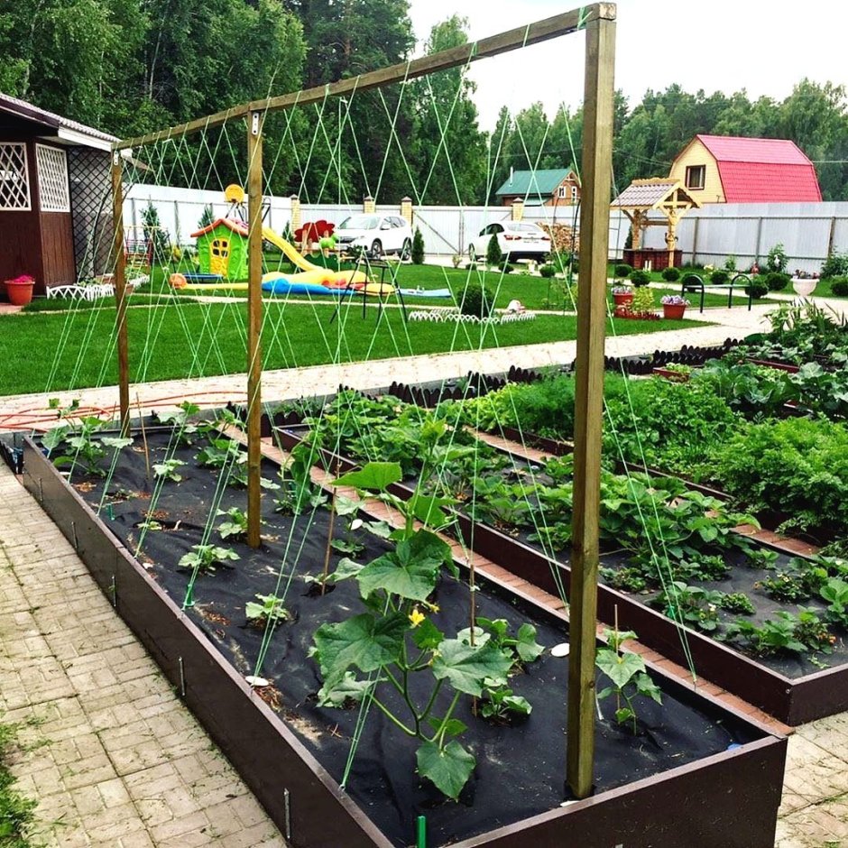 Товары для сада и огорода