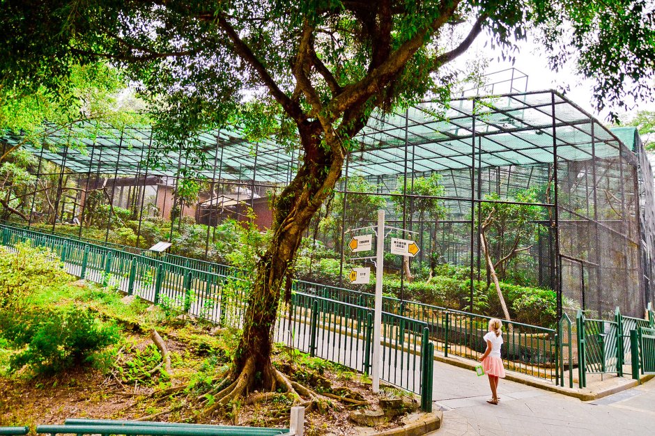 Зоологический сад Гонконг