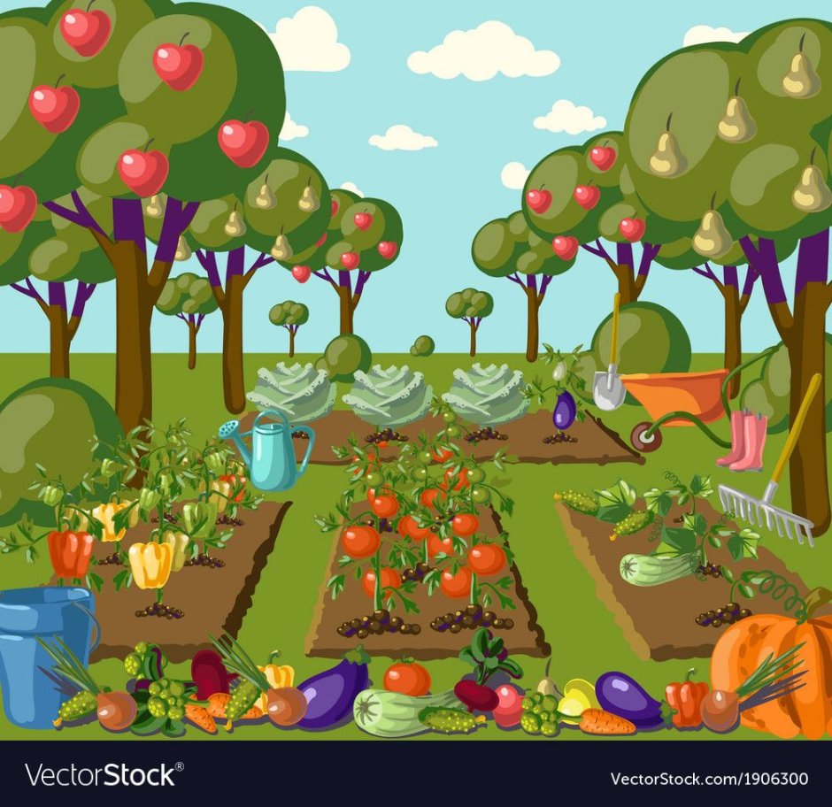 Огород с овощами для детей