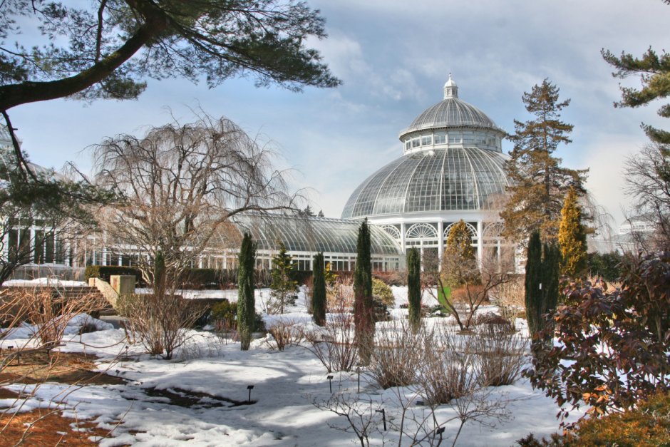 Ботанический сад Нью-Йорка