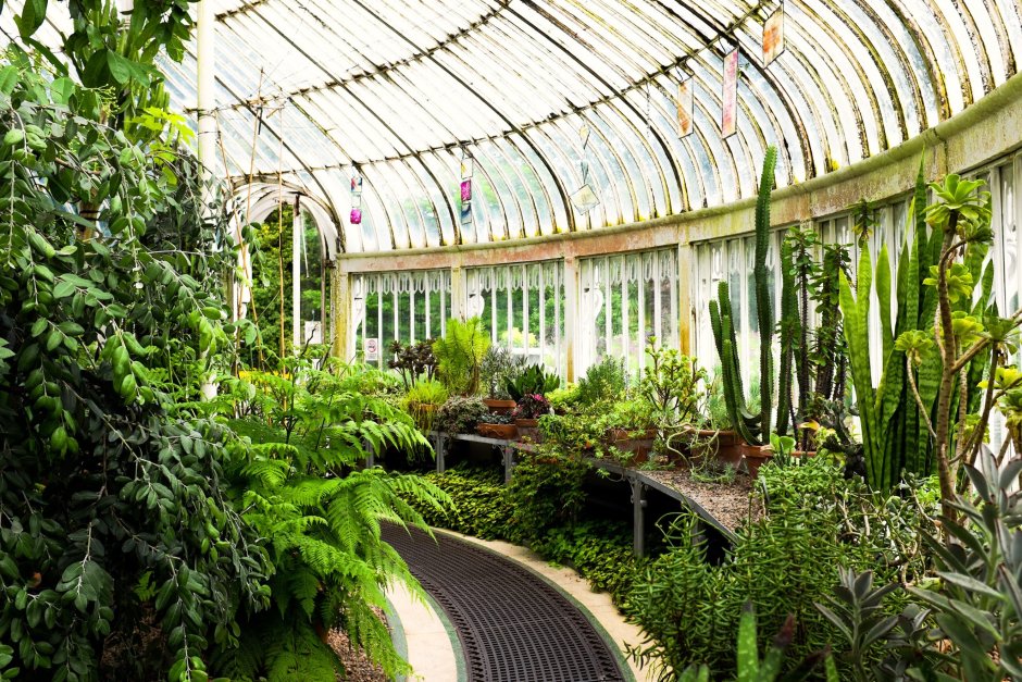 Таврический Ботанический сад