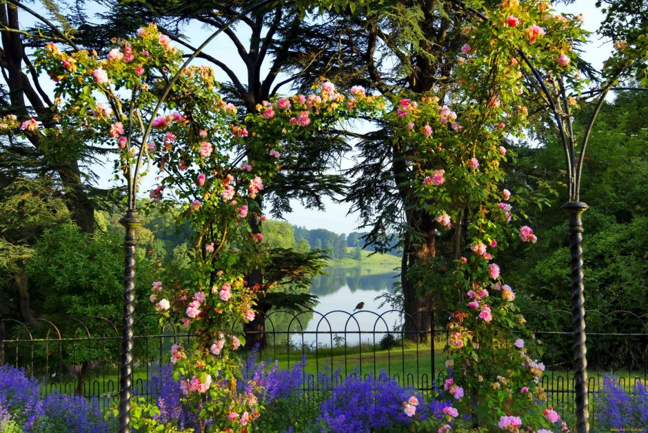 Сад роз Бленхейм