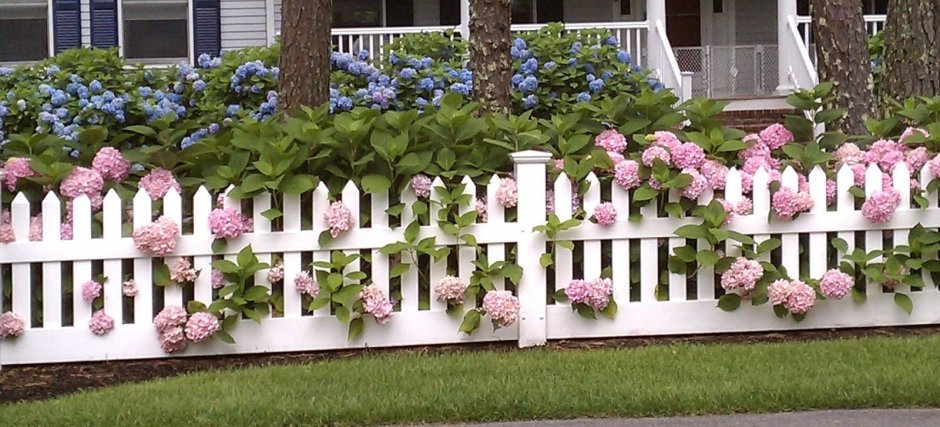 Белый заборчик в саду в стиле Прованс