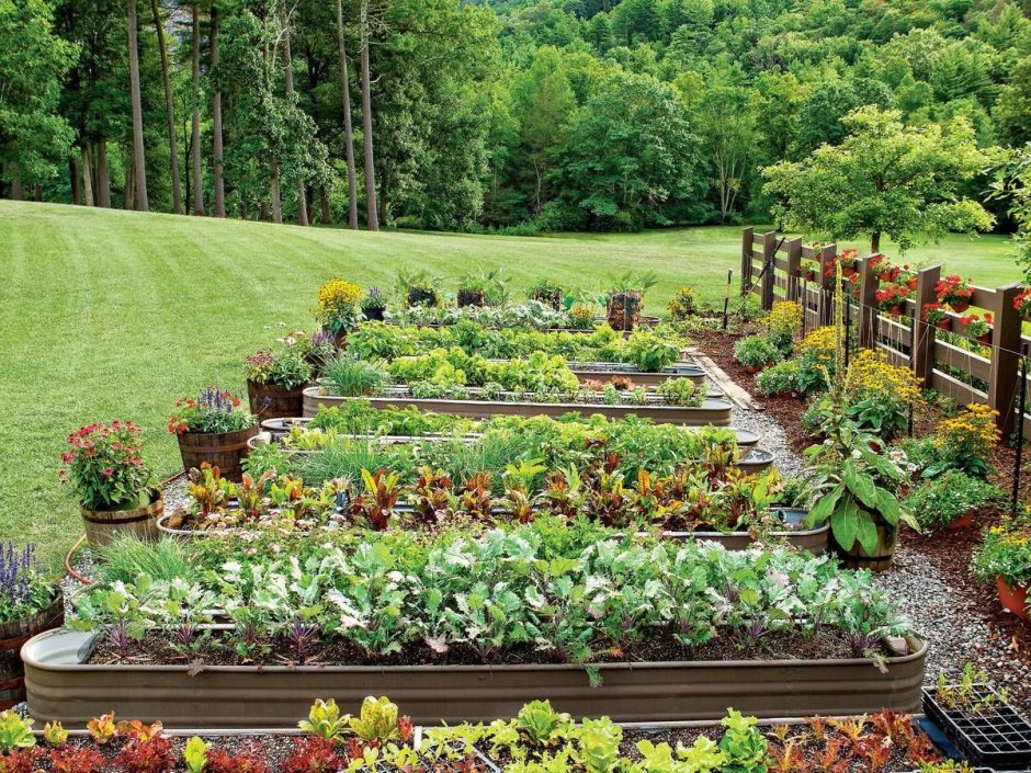 Садоводство и огородничество