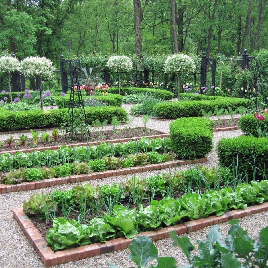 Сад Вилландри Аптекарский сад