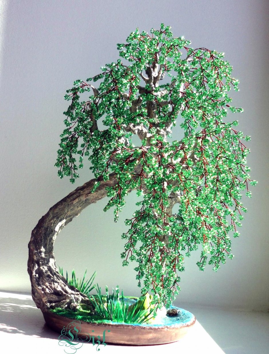 Бисерное дерево плакучая Ива
