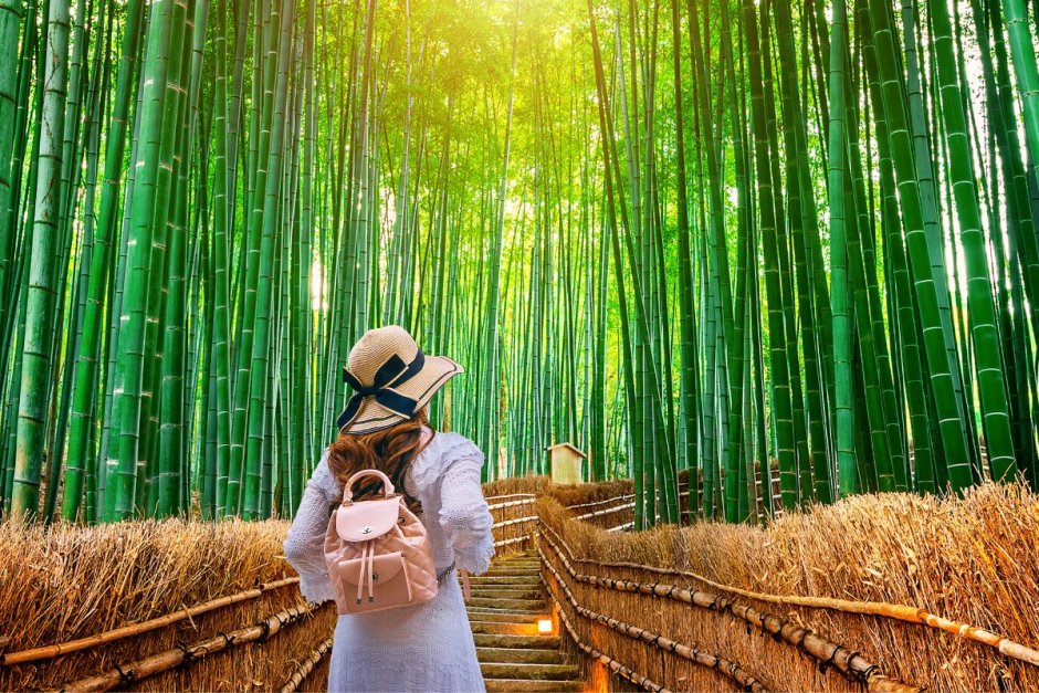 Человек в бамбуковом лесу