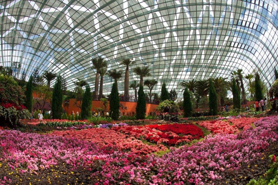 Ботанический сад парк и оранжерея