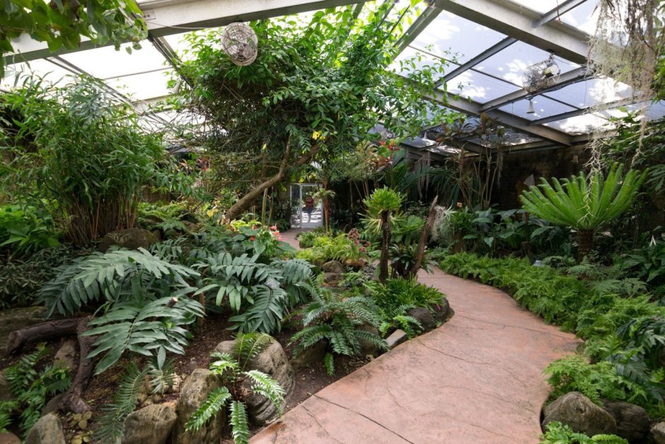 Ботанический сад Тропическая оранжерея