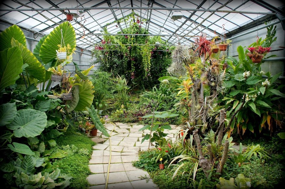 Ботанический сад Лобачевского Нижний Новгород