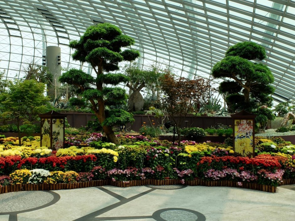 Сингапур Ботанический парк