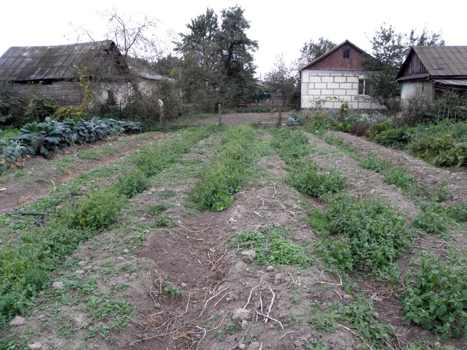 Огород на Западной Украине