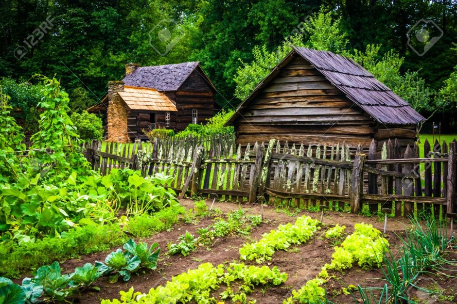 Деревенский дом с огородом