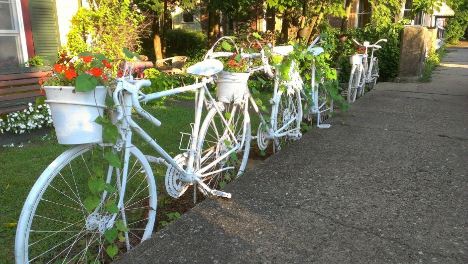 Велосипед в огороде
