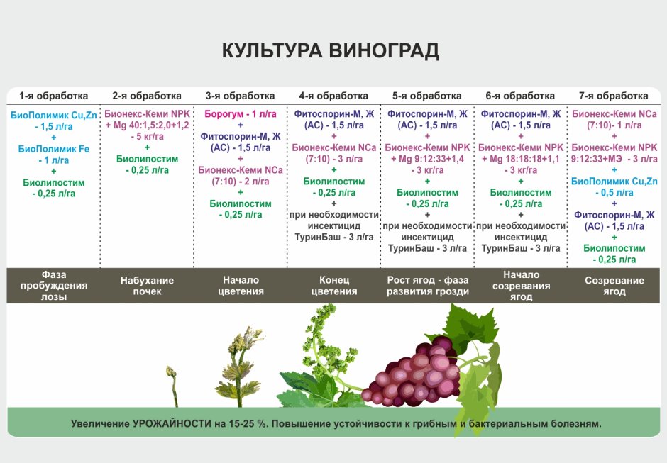Схема обработки винограда весной